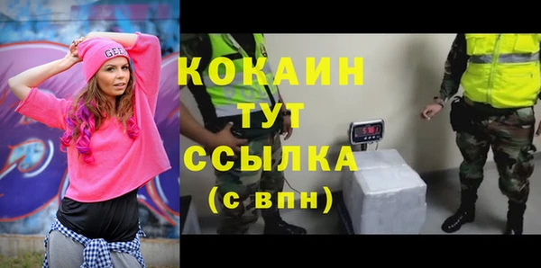 твердый Горнозаводск