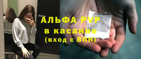 прущие грибы Вяземский