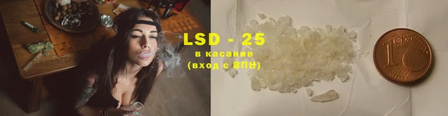 прущие грибы Вяземский