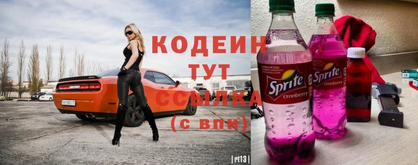 прущие грибы Вяземский