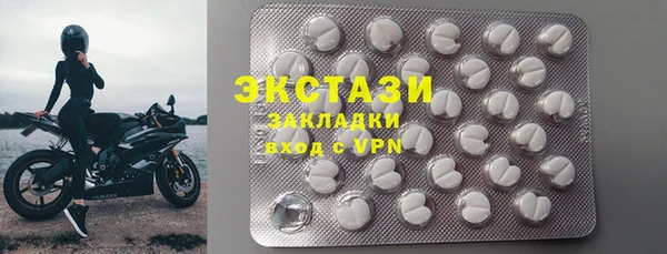 прущие грибы Вяземский